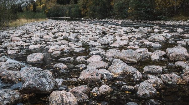 Deler av elven Aura i Møre og Romsdal er fullstendig tørrlagt grunnet vannkraft. I andre elver står det enda dårligere til. Foto: Christine Fagerbakke